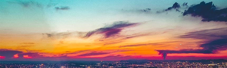 兴化茶虫网_兴化品茶